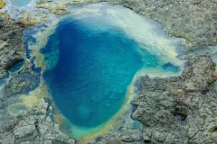 14700808_1070219719741390_3513339088772792000_o