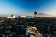 1609686_10201503338440415_1592600480_n