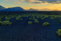 20230108_212659