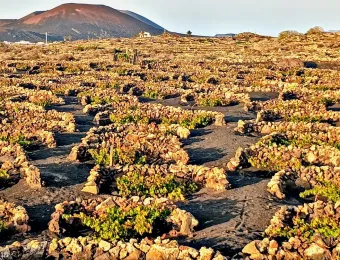 20251103_172659-EDIT