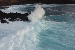 DJI_0625
