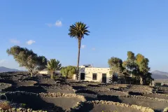 IMG20230131172818