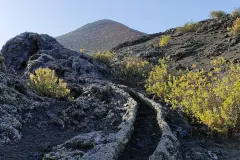 IMG20230321171830