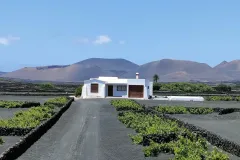 IMG20230514142813