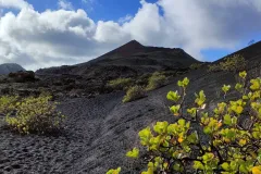 IMG20231106154756-1-scaled