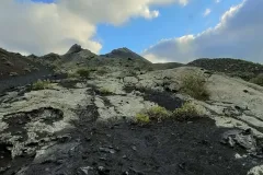 IMG20231203170822