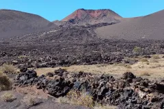 IMG20240315113339-EDIT-1