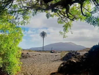 IMG_20250901_175844825_HDR-EDIT