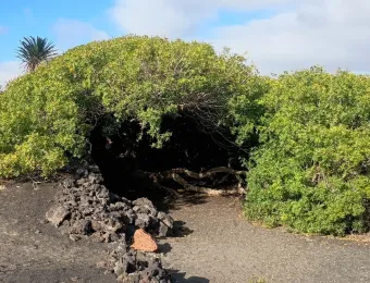 IMG_20250901_180553848-EDIT