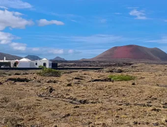 IMG_20251026_130509694