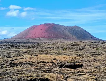 IMG_20251026_131221897-EDIT