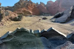 elvoncalcito-1