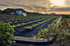 nuestras-recomendaciones